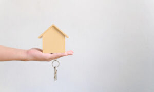 Asset Transfer